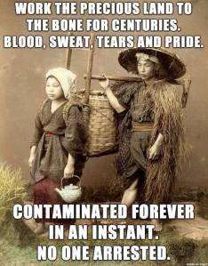 10169351_1428484424074180_6165432973903017198_n