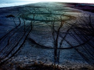 znew908464_SC312001_4x3